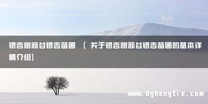 银杏树苏谷银杏苗圃 (关于银杏树苏谷银杏苗圃的基本详情介绍)